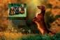 Preview: Entdecke die Hunde